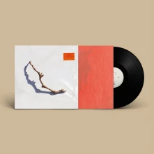 Vinyl HARVEY, P.J. - I INSIDE THE OLD YEAR DYING