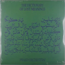 Vinyl DICTIONARY OF LOST MEA...