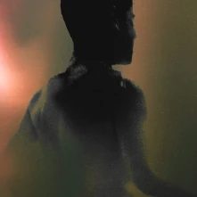 Vinyl Subheim - Raeon