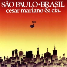 Vinyl SAO PAULO BRASIL