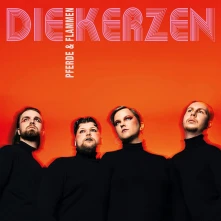 Vinyl PFERDE & FLAMMEN