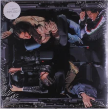 Vinyl BODY MEAT - STARCHRIS