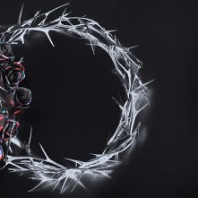 CD DUAL (DUSK)
