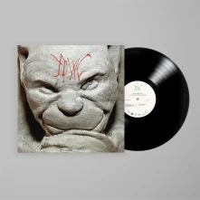 Vinyl YOUR DAY WILL COME