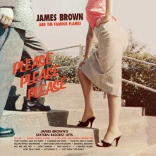 Vinyl & The Famous Flames ‎– Please, Please, Please