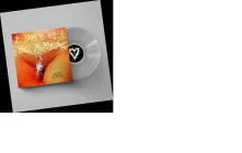 Vinyl I DON'T WANT YOU ANYMORE