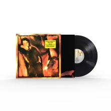 Roger Hodgson, Vinyl HAI HAI