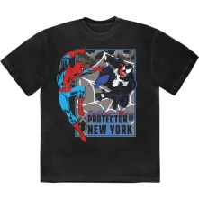 Protector Of New York thumbnail
