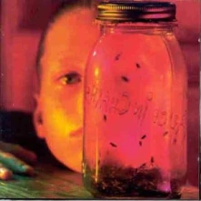 CD JAR OF FLIES