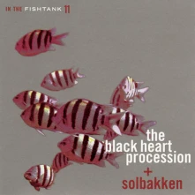 Vinyl IN THE FISHTANK (SILVER)