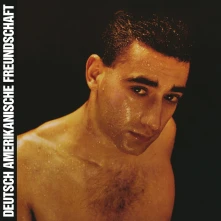 Deutsch Amerikanische Freundschaft, Vinyl ALLES IST GUT