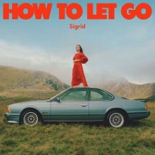 Vinyl HOW TO LET GO