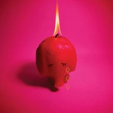 Arcade Fire, CD Pink Elephant