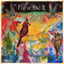 Vinyl FLY OR DIE II
