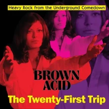 Vinyl BROWN ACID: THE 21TH TRIP