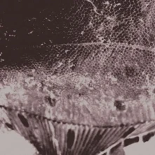 Vinyl FLOUNDER MAPS