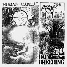 Vinyl HUMAN CAPITAL