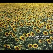CD ECHO & BUNNYMEN - ME, I'M ALL SMILES