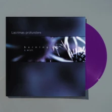Vinyl BURNING: A WISH