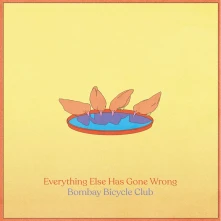 Vinyl EVERYTHING ELSE HAS GONE WRONG