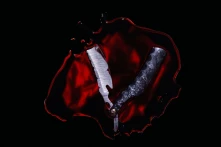 CD BLEEDERS