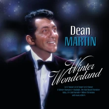 Vinyl WINTER WONDERLAND