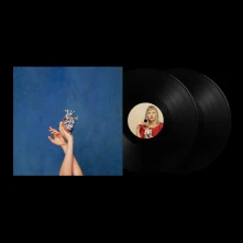 Vinyl What Happened To The Heart?