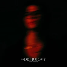 David Kushner, Vinyl THE DICHOTOMY