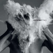 Vinyl AFGHAN WHIGS - DO TO THE BEAST