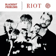 Vinyl Riot