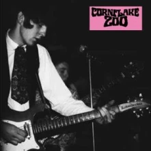 Vinyl KNIGHTS OF FUZZ