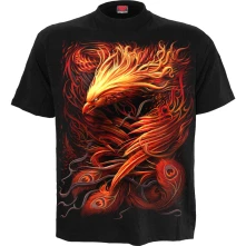 Phoenix Arisen thumbnail