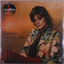 Vinyl IN THESE SILENT DAYS /...