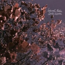 CD EERIE WANDA - INTERNAL RADIO