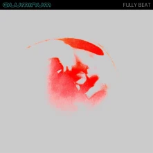 Vinyl FULLY BEAT