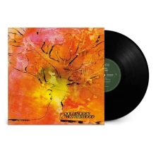 Doldinger's Motherhood, Vinyl MOTHERHOOD