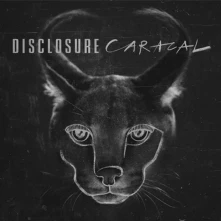 Disclosure, Vinyl Caracal (10th Anniversary Edition) (Zoetrope Vinyl)