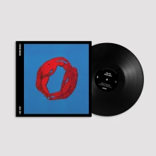 Vinyl MOVING IMAGES