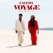 Vinyl VOYAGE (PART II)