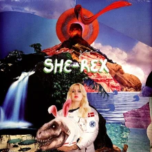 Vinyl SHE-REX