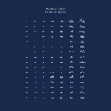 Mammal Hands, Vinyl CAPTURED SPIRITS