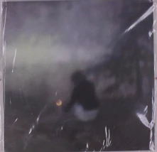 Vinyl ONLY HINTING