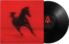 Vinyl BUCK