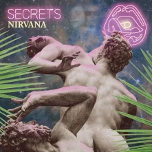 Vinyl SECRETS