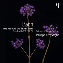 CD Herreweghe, Philippe - Herz Und Mund Und Tat Und Leben