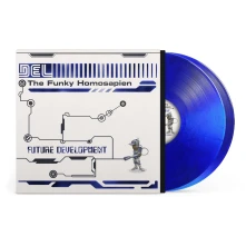 Vinyl FUTURE DEVELOPMENT