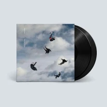 Vinyl ROOKERY
