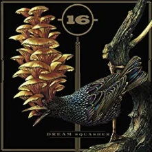 CD DREAM SQUASHER