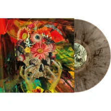 Vinyl DESTROYING THE NIGHT SKY