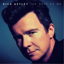 Vinyl The Best Of Me